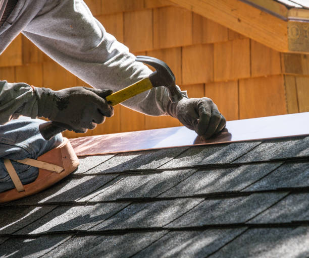 Roof Gutter Cleaning in Gulf Shores, AL